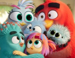 بازگشت «پرندگان خشمگین» به سینما؛ هر آنچه باید درباره فیلم Angry Birds Movie 3 بدانید